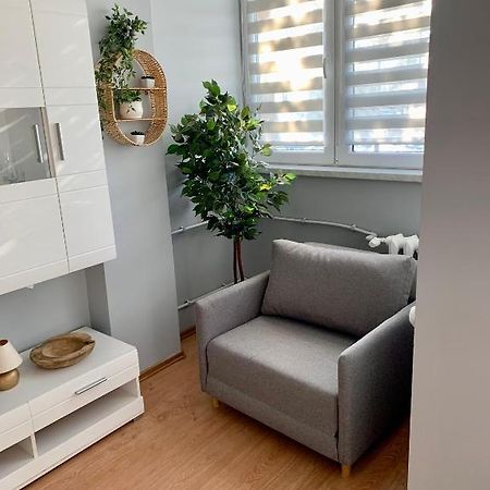 Apartament Joanna 2 Parter Blisko Prezero غليفيتسه المظهر الخارجي الصورة